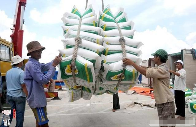 泰国称不会暂停大米出口，没有理由禁止粮食出口！