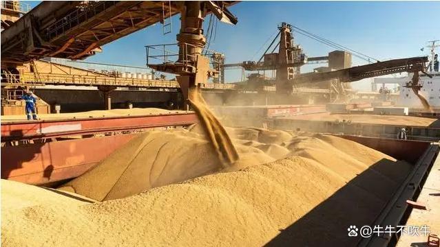 全球大豆市场风云突变 中国策略调整引发关注