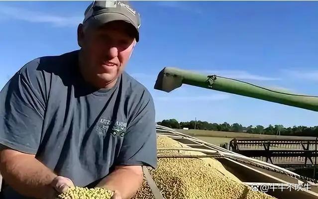 全球大豆市场风云突变 中国策略调整引发关注