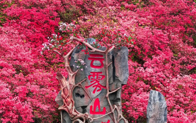 武汉发布7条乡村赏花精品路线