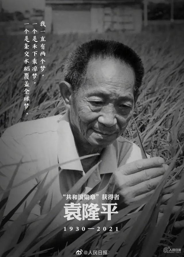 袁隆平:一位人民英雄的一生_中华网