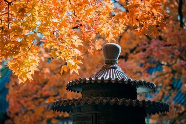 百年一遇“晚重阳”上线！这些玄机你知道吗？