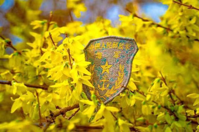 16所军校的春景！