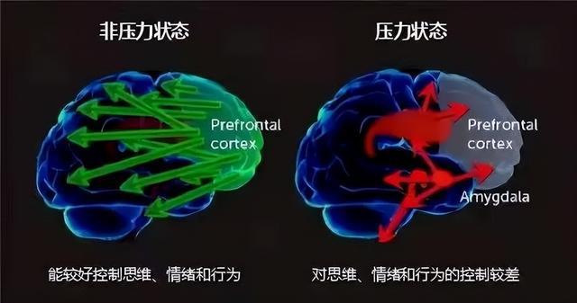 用成人思维跟孩子讲道理，你还真不如孩子