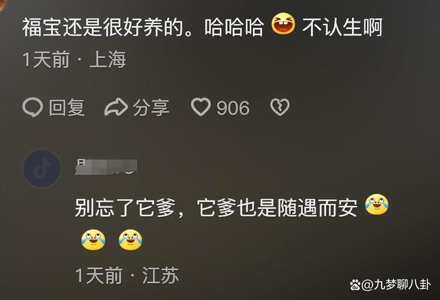 福寶四川基因覺醒！"果賴"是川渝寶寶們的神奇召喚術