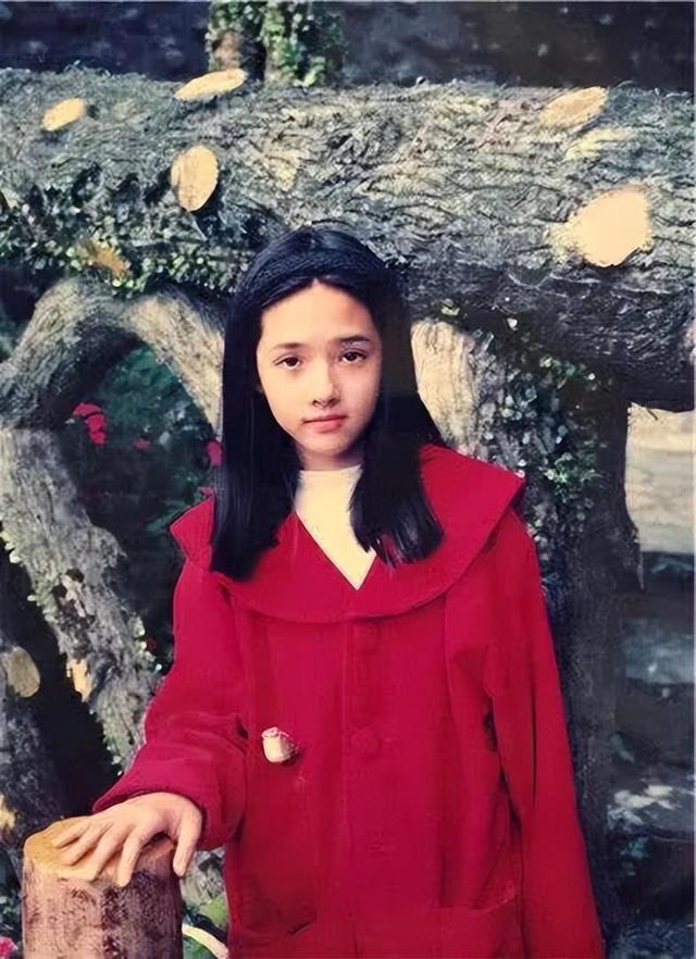向家被传破产，郭碧婷何去何从：台湾女星的豪门路，屡战屡败？ 豪门梦碎疑云