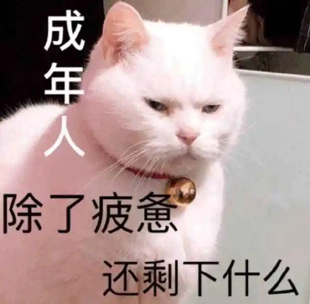 有一种审美叫金亨泰，LSP解读“油腻师姐”为什么斩男无数？