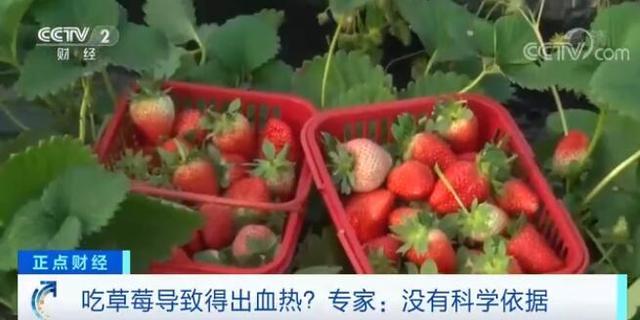 “吃草莓会导致得出血热”？医学专家回应