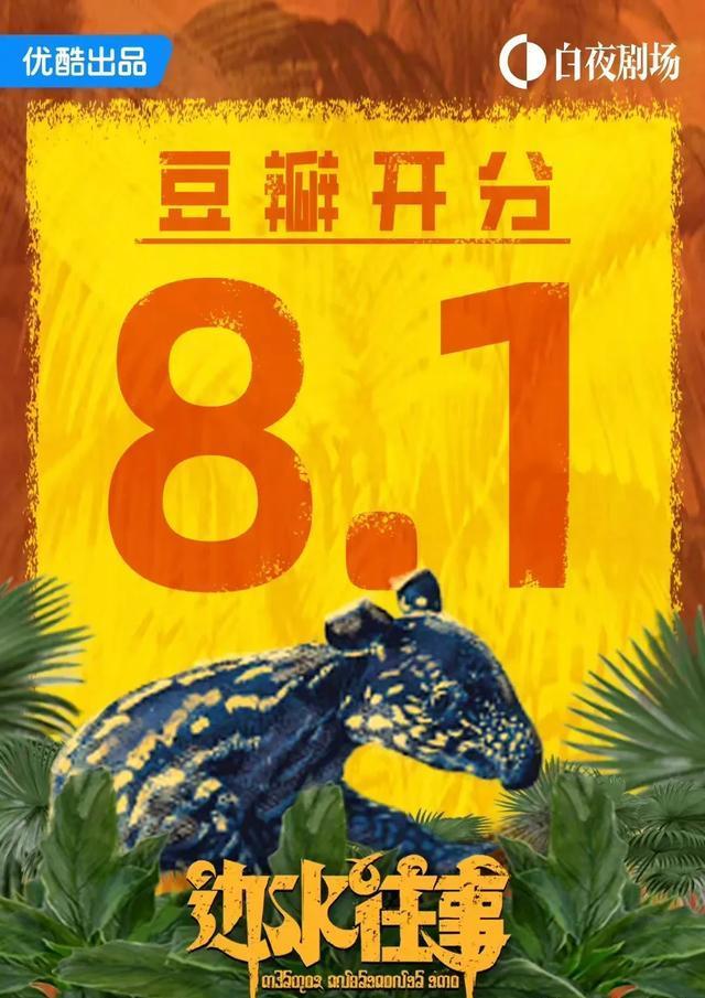 边水往事：沈星为何选择继续留在三边坡？金翠的放飞鸽是什么生意