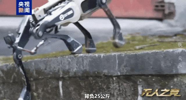 央视披露机器狼巷战演练 硬核实力展现