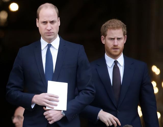 英国哈里王子新书中称曾遭哥哥殴打 哥哥威廉抓住他的衣领，扯下了他的项链