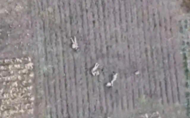 实拍俄老兵一挑六全身而退无人机立功