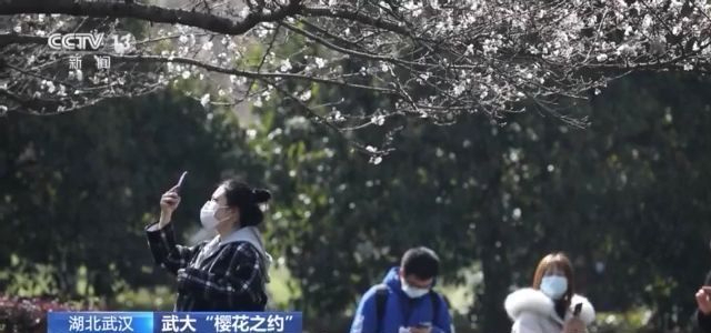 花开了！武大邀请抗疫医护人员共赴“樱花之约”
