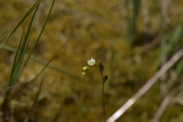 晚报|俄驻华大使力挺中国 BOSS直聘回应被审查