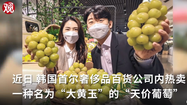 韩国果农偷日本葡萄品种后诡辩