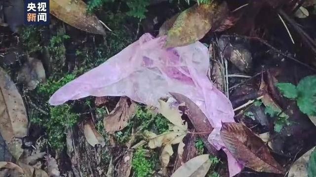解密哀牢山搜救:当地现强磁场干扰 极易迷路失温