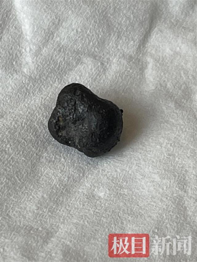 上千人赴河南寻陨石 专家:找到一颗 仅黄豆大小，重约1.2克