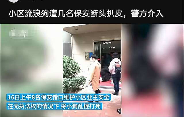 郑州一小区流浪狗被保安断头扒皮 业主报警保安被拘
