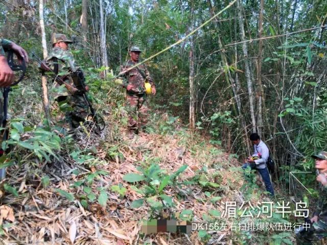 前期施工调查，湄公河半岛无人区扫排雷人员正在工作 图自微信公众号“中铁八局报道”