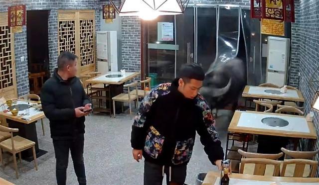 待宰水牛发狂冲进餐馆顶飞男子 现场画面曝光
