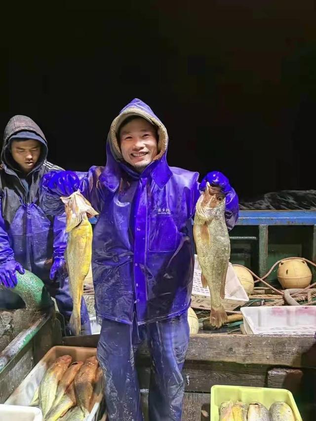 4900斤野生大黄鱼卖了957万 “这是每年禁渔期、增殖放流的效果”