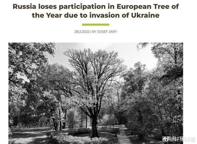 俄罗斯的树也被制裁了