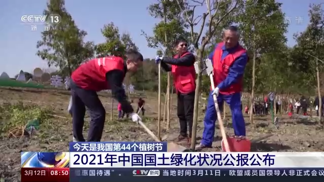 5006万亩！为了这个目标，一起“植”此青绿吧！