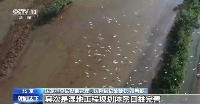 我国64处国际重要湿地保护取得显著成效 湿地调查监测体系初步形成_行业资讯_第5张_百科参考网 我国64处国际重要湿地保护取得显著成效 湿地调查监测体系初步形成_https://www.whai.cc_行业资讯_第5张