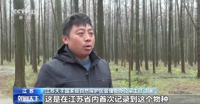 我国64处国际重要湿地保护取得显著成效 湿地调查监测体系初步形成_行业资讯_第1张_百科参考网 我国64处国际重要湿地保护取得显著成效 湿地调查监测体系初步形成_https://www.whai.cc_行业资讯_第1张