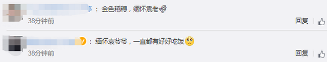 袁隆平院士雕像落成揭幕 袁隆平夫人口罩上的话让人泪目