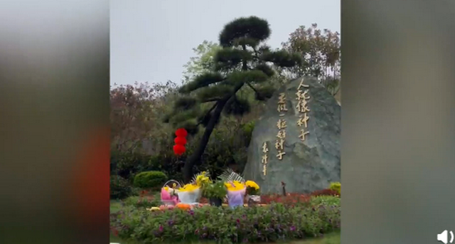 袁隆平夫人口罩上的话让人泪目：人就像一粒种子，要做一粒好种子