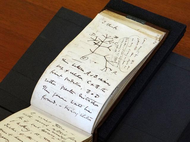 达尔文笔记失窃21年后被匿名归还 被放在一个粉红色礼物袋里