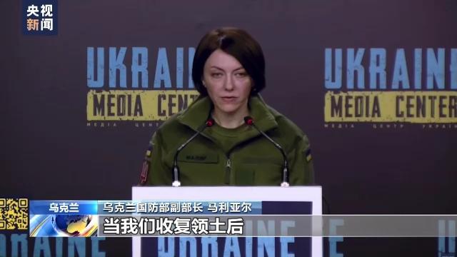 乌国防部副部长：加入北约的目标已写进宪法