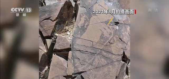 西藏考古发现大量岩画