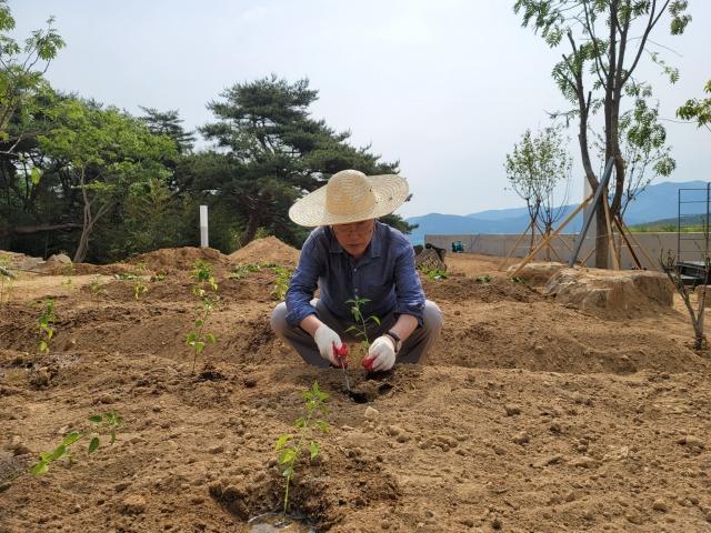 文在寅退休后下地种红薯 门外谴责抗议不断