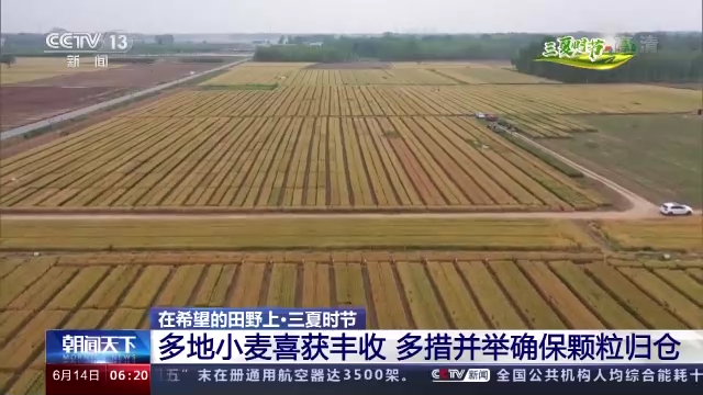 在希望的田野上·三夏时节丨多地小麦喜获丰收 多措并举确保颗粒归仓