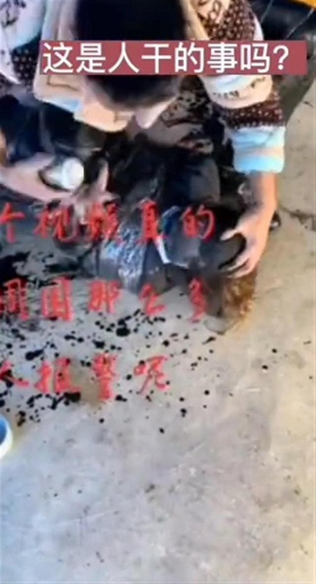 警方通报女子遭泼墨捆绑殴打：直播网红 自导自演