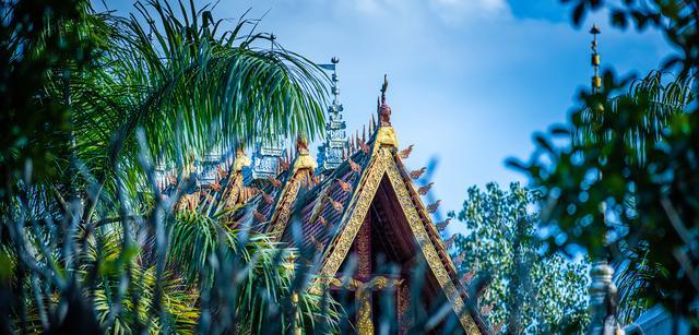 这个春节,西双版纳被挤爆了，往哪走都在堵