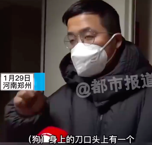 警方调查宠物狗被邻居砍杀案 涉事人称为自保连砍十几刀