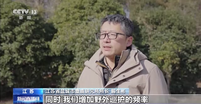 中国湿地保护成绩单来了