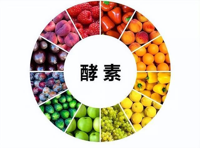 日本广岛种出巨无霸萝卜 酵素是科技还是狠活呢？