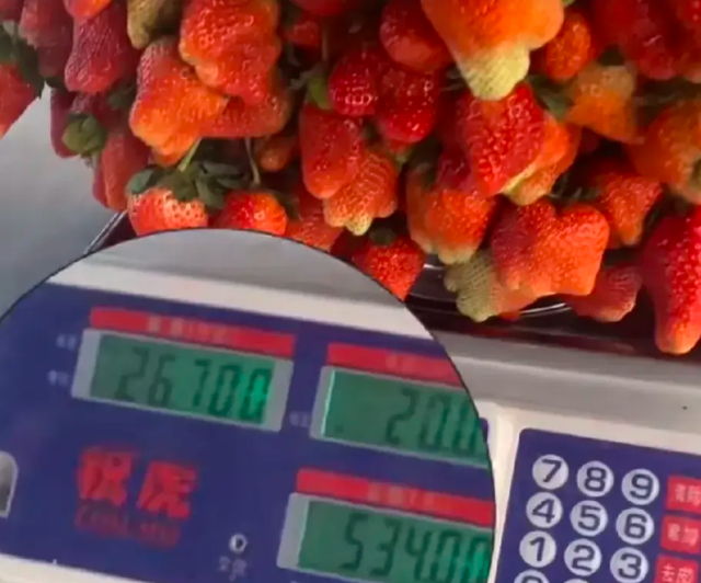 游客88元买走26斤草莓老板没生气还拍视频