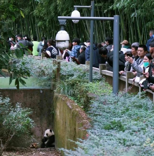 “福菀”被泼水后躲角落 网友：别逼我文明用语 