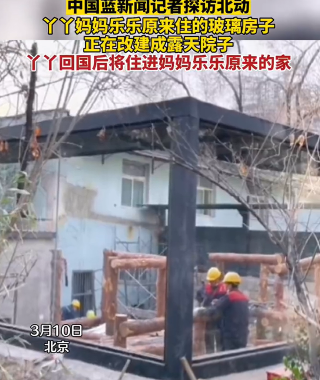 美将公示“丫丫”回国证明，北京动物园饲养员下周抵美