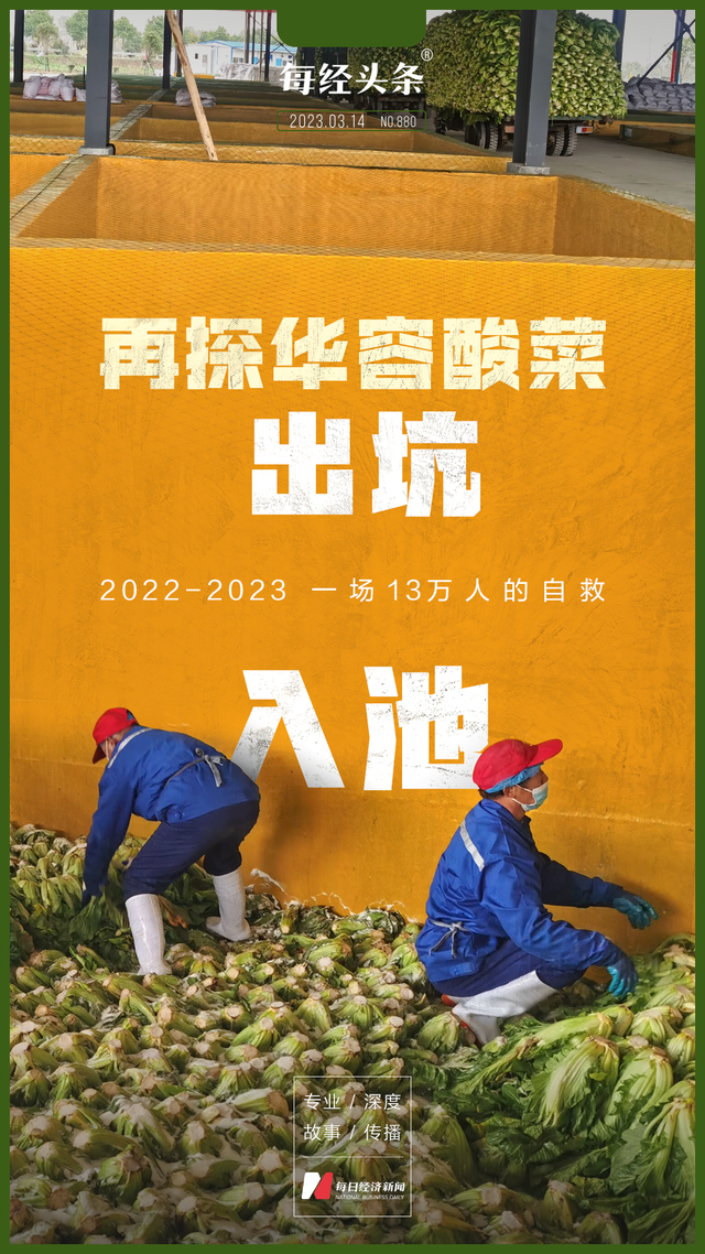 记者再探华容酸菜产业 13万从业者的自救出坑入池