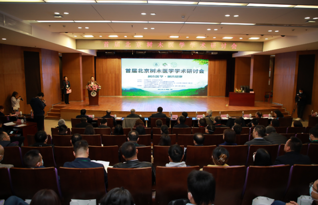 北京首家树木医院将开诊 “树木医生”职业化的时机已经成熟