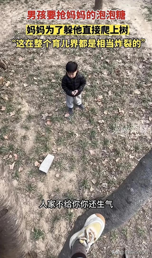 母亲为躲儿子抢糖爬上树 孩子在树下喊：妈妈，对不起
