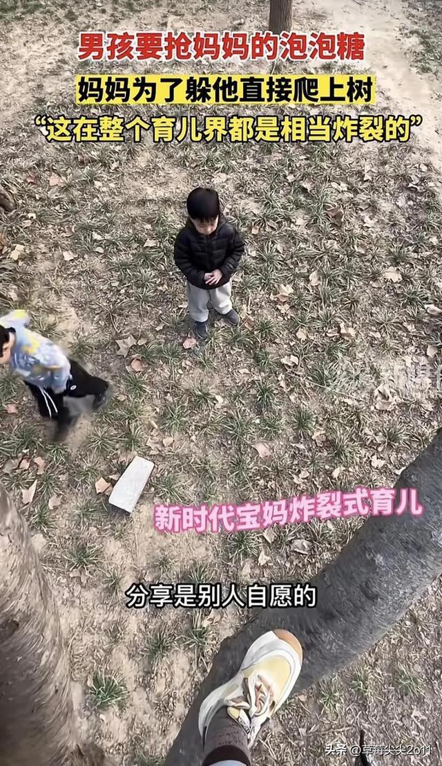 母亲为躲儿子抢糖爬上树 孩子在树下喊：妈妈，对不起