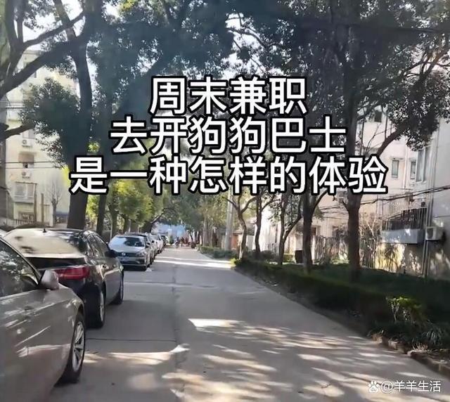 女生周末兼职开“狗狗巴士，一天接五六只狗能赚400 网友大呼理想职业
