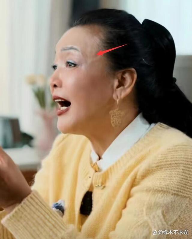 金星锐评张兰：找不到好儿媳怪别人，给她脸了，真烦！